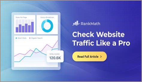 The Ultimate Guide To Check Website Traffic And Ranking